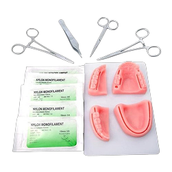 Dental Practice Models