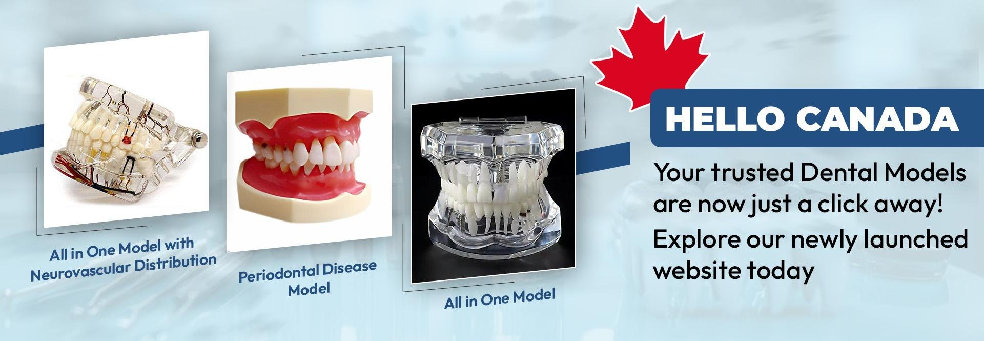 Explore SDG Products