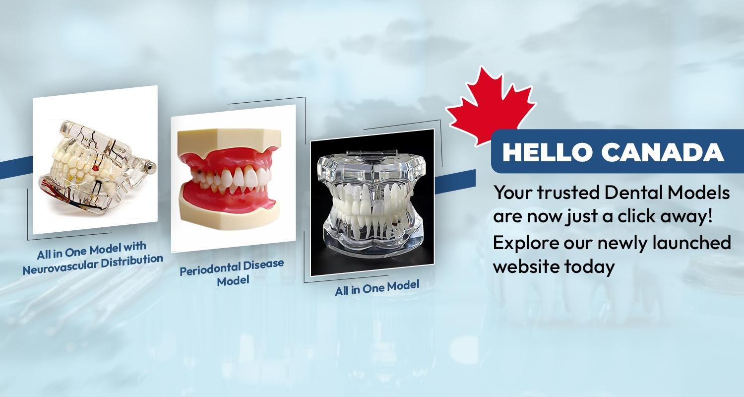 Explore SDG Products