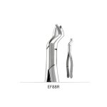 Tooth Extraction Forceps No. 88R