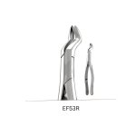 Tooth Extraction Forceps No. 53R