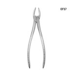 Tooth Extraction Forceps No. 17