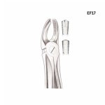 Tooth Extraction Forceps No. 17