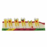 Pulpal and Periapical Pathology Model
