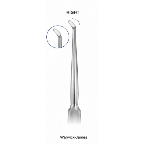 Warwick James Elevator - Right