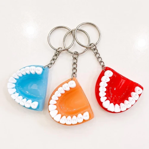 Resin Denture Shaped Key Ring