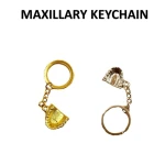Dental Maxillary Key Ring