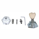 Single-Tooth Implant Model with Components