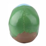 Anatomical Skull Model with Highlighted Landmarks