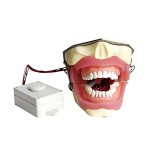 Local Anesthesia Practice Model – Nerve Contact Buzzer